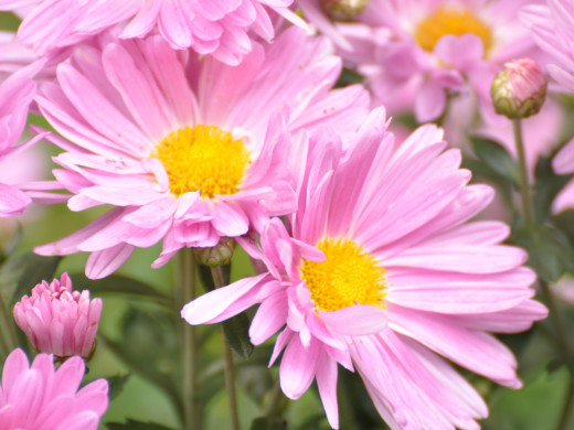 429348 (a): :1600x1200